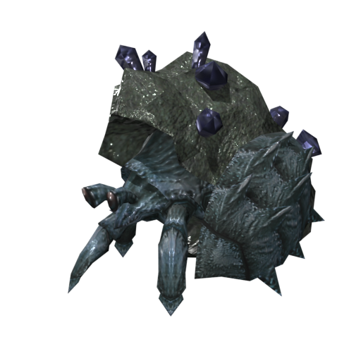 Photo de Bernie tolen